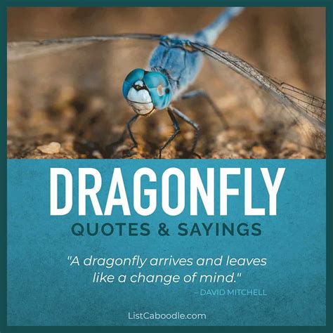 quotes on dragonfly